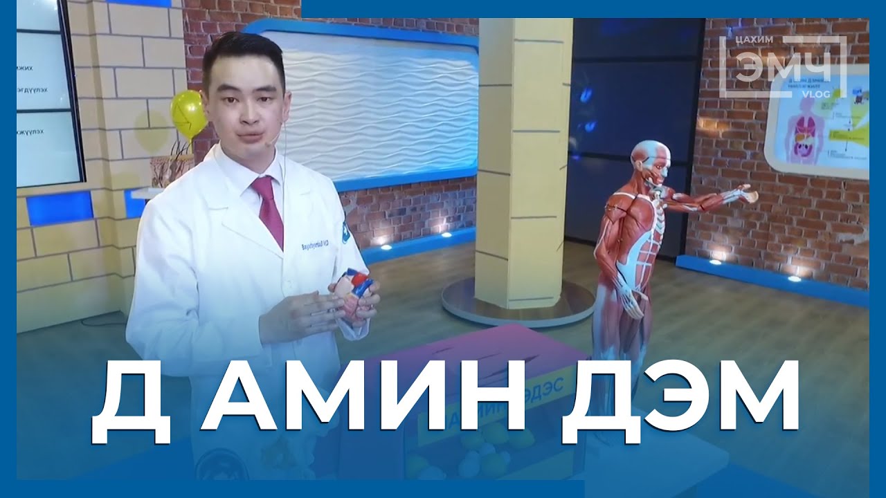 102 - Д Амин дэм / "Цахим Эмч" шоу
