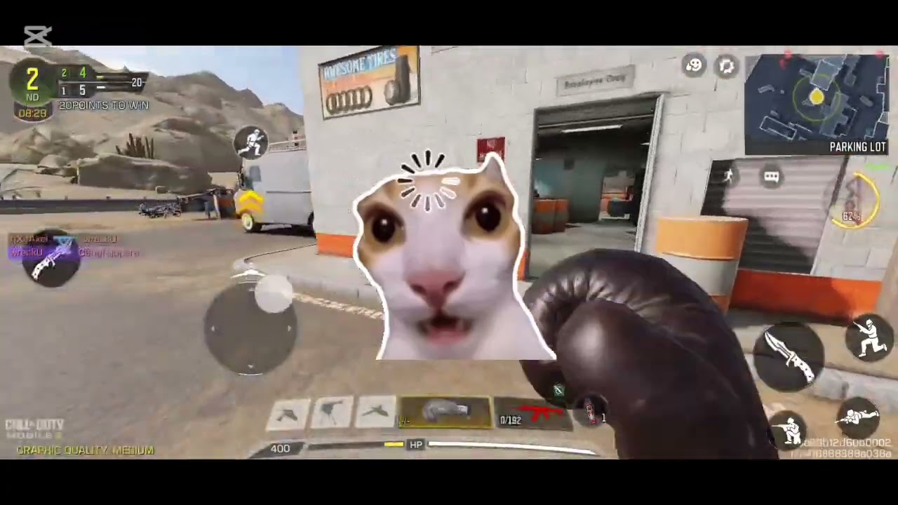 Call of duty(free for all)