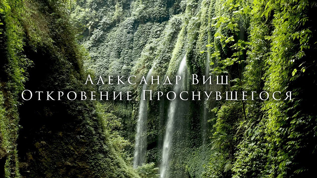 Александр Виш. 