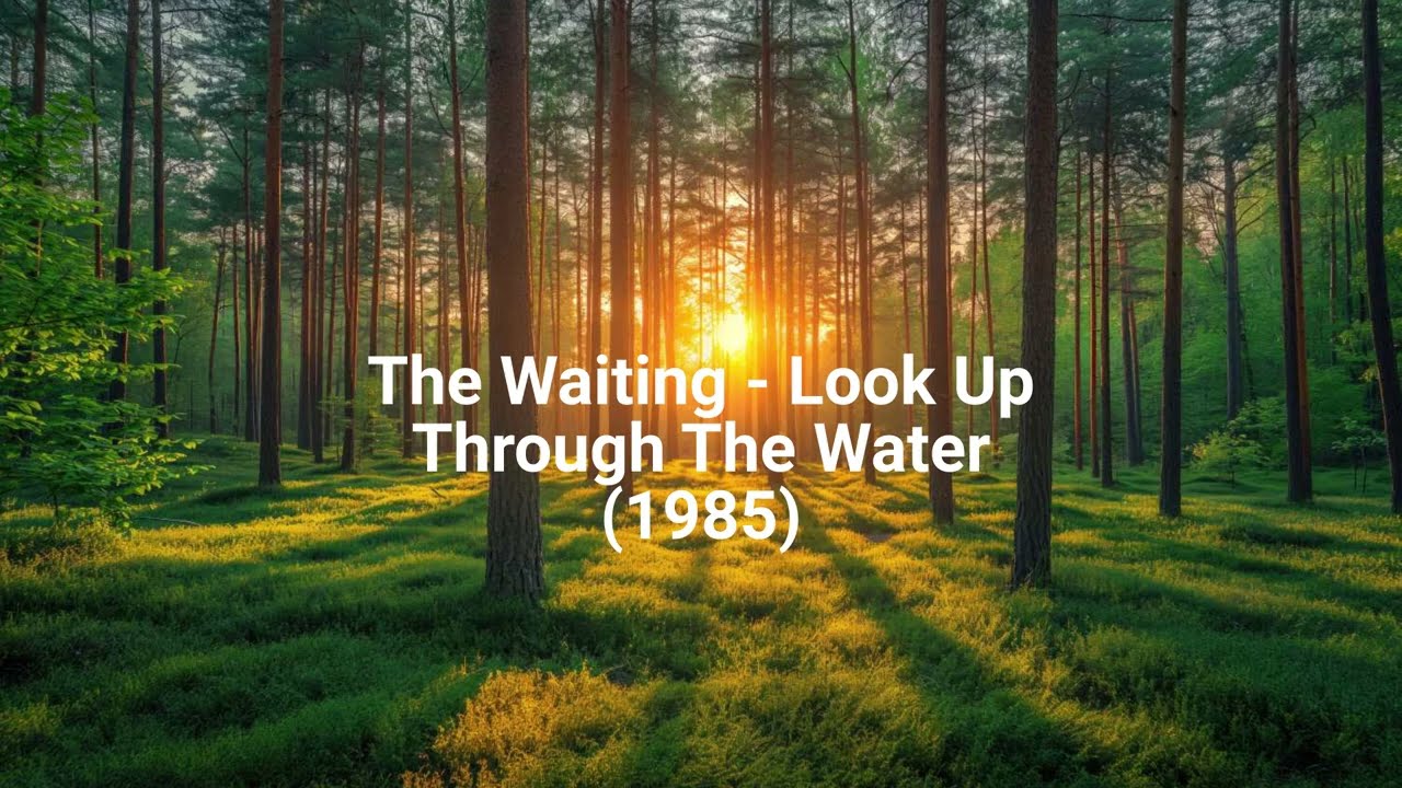 The Waiting - Look Up Through The Water (1985)