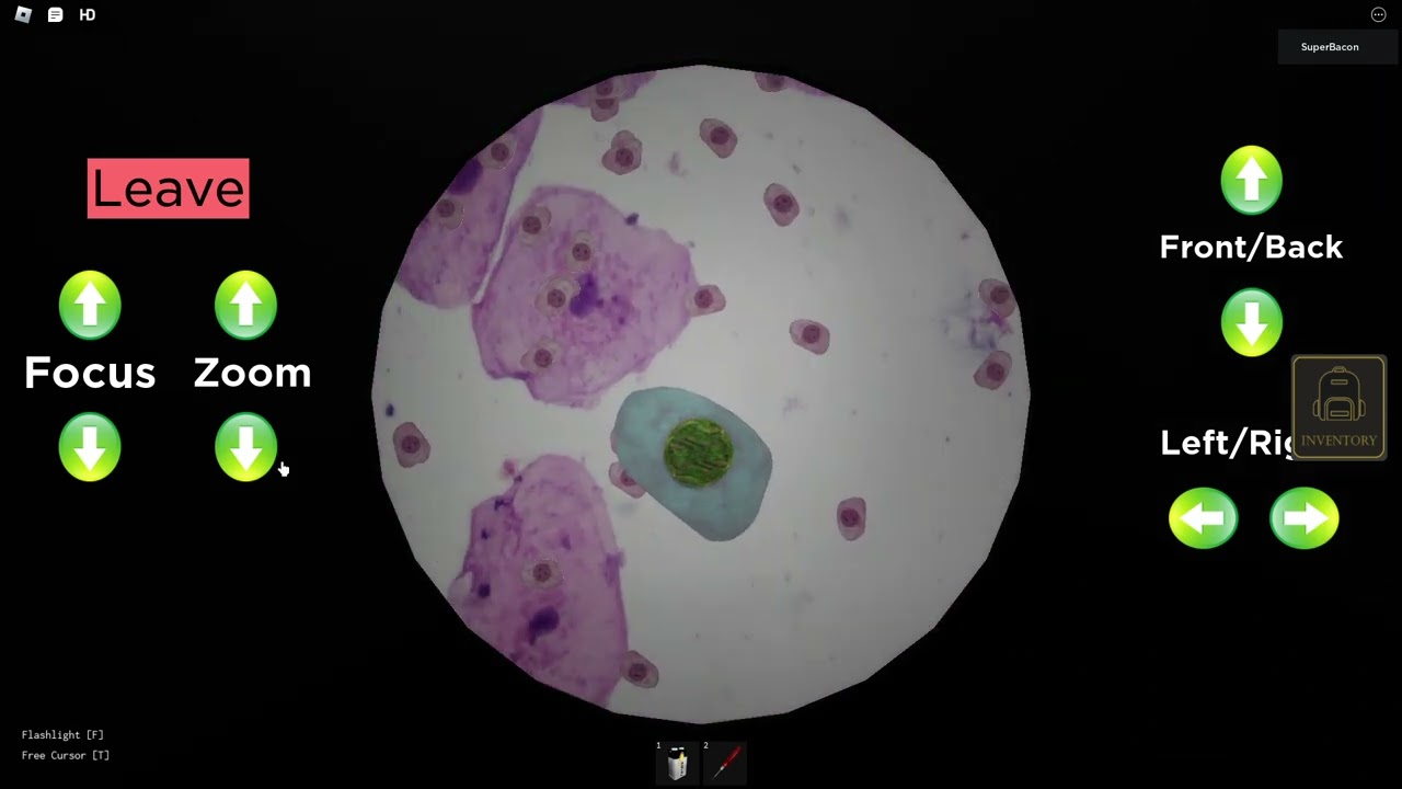 Before Truth chapter 2 solo speedrun in 4:32 Solo WR