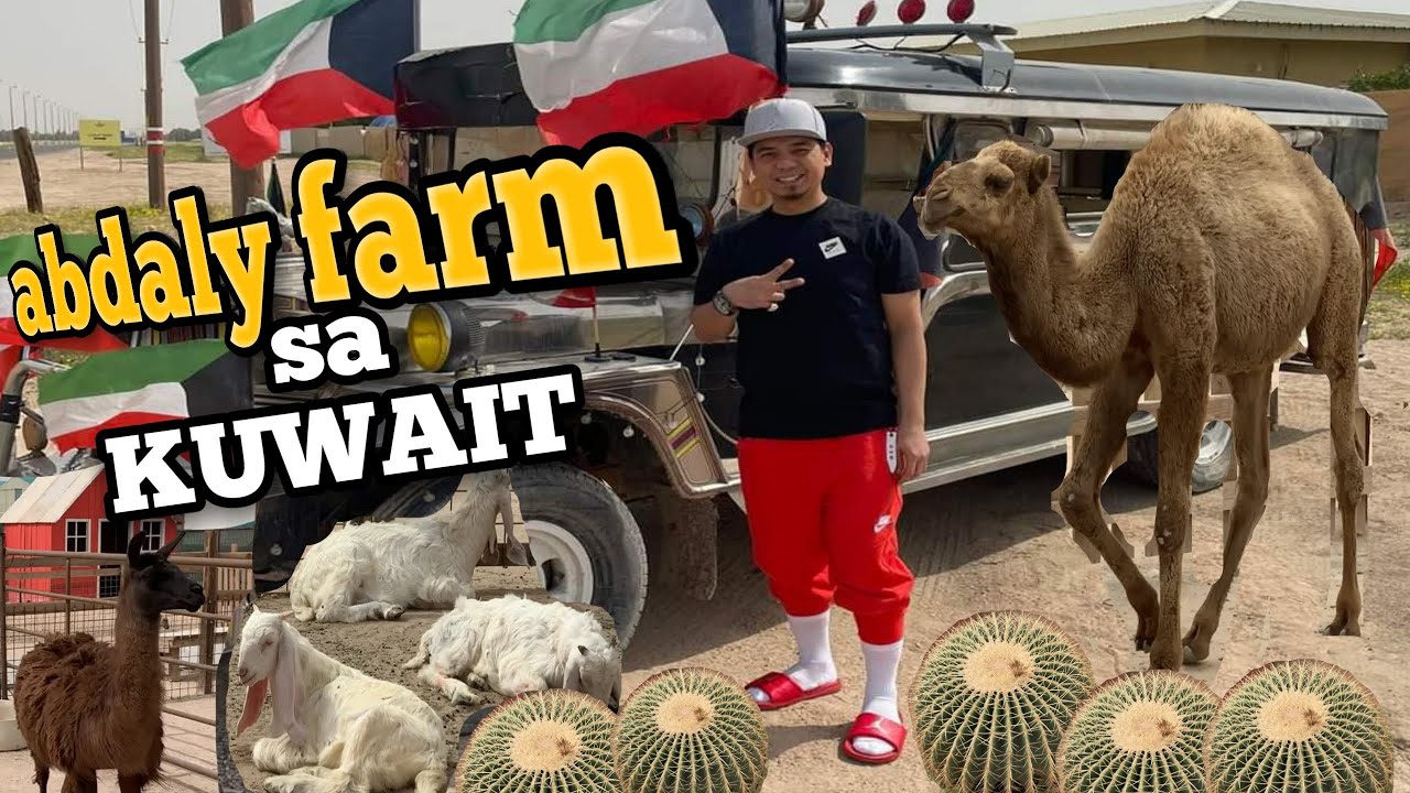 Ep47💈 Abdaly Farm sa kuwait | Location Border in Iraq