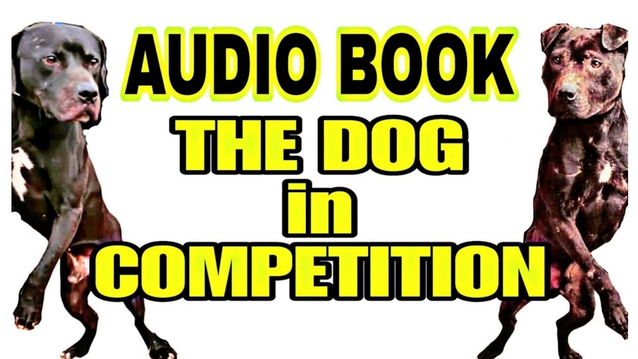 Pitbull fighting dogs - The Dog of Competition / Part Two #pitbull #dogfight #apbt