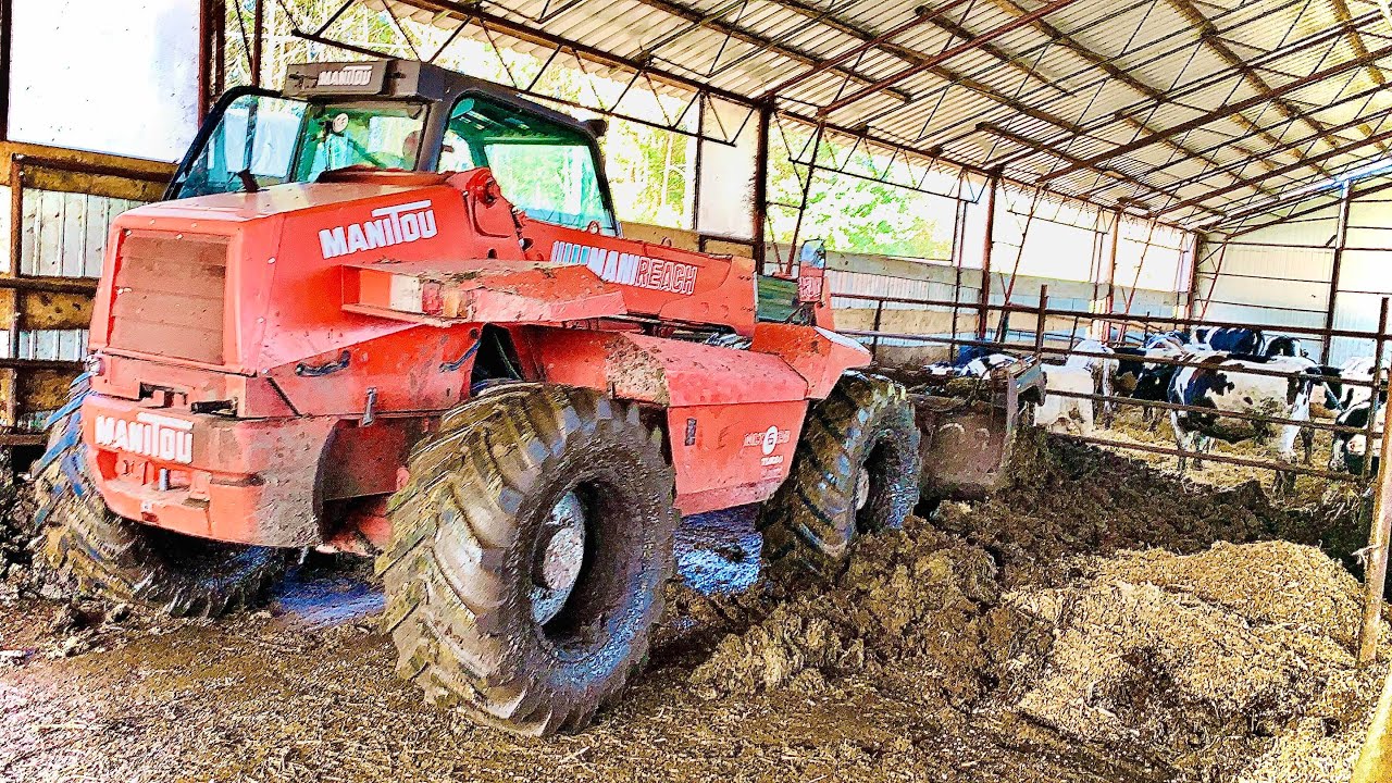 ☆ Wywalanie Obornika od Jałówek / Byków ☆Ścielenie☆ 2020 ☆MANITOU MLT 628 Turbo☆
