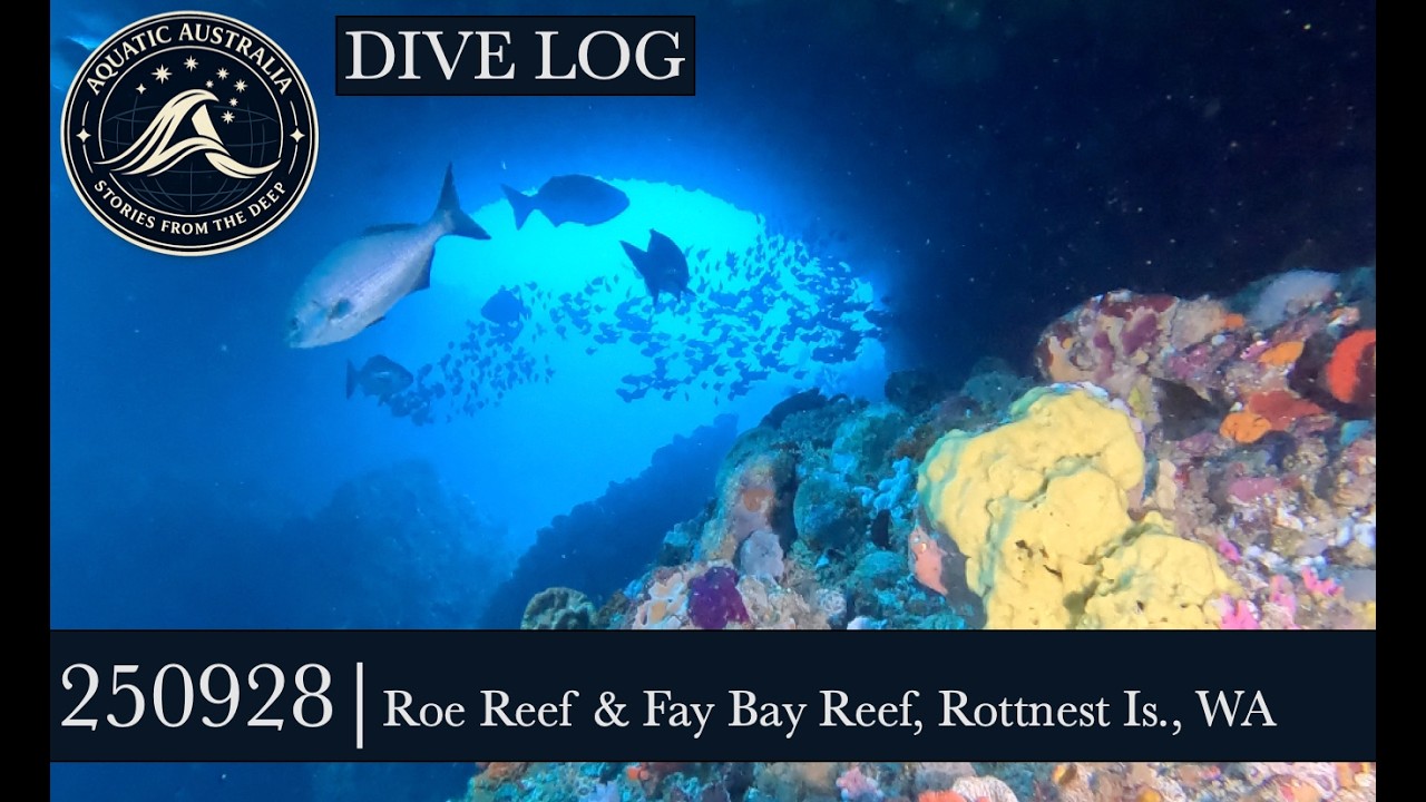 250928   DIVE LOGS 2103 2104   Roe and Fay Bay   Rottnest