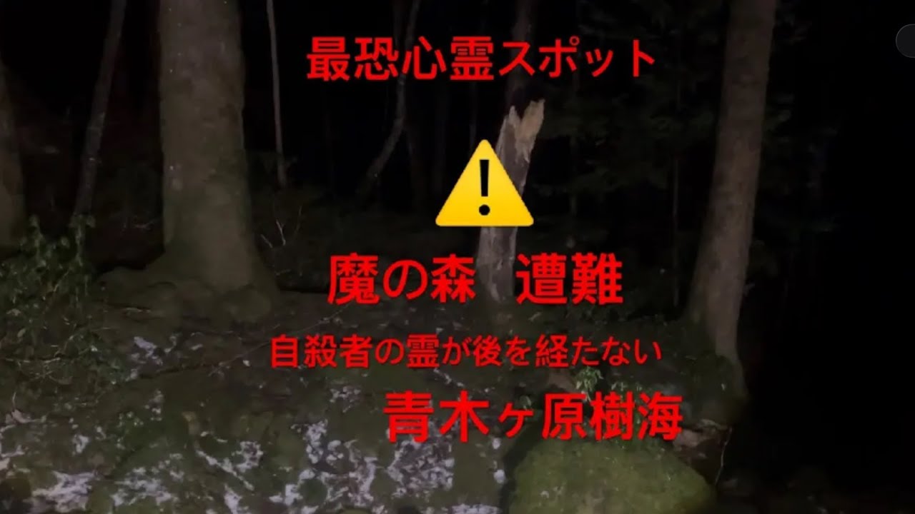 〔閲覧注意〕青木ヶ原樹海〔最恐心霊スポット〕