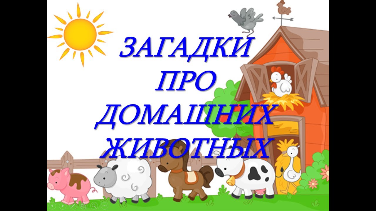Загадки про домашних животных для детей. Загадки для детей с ответами