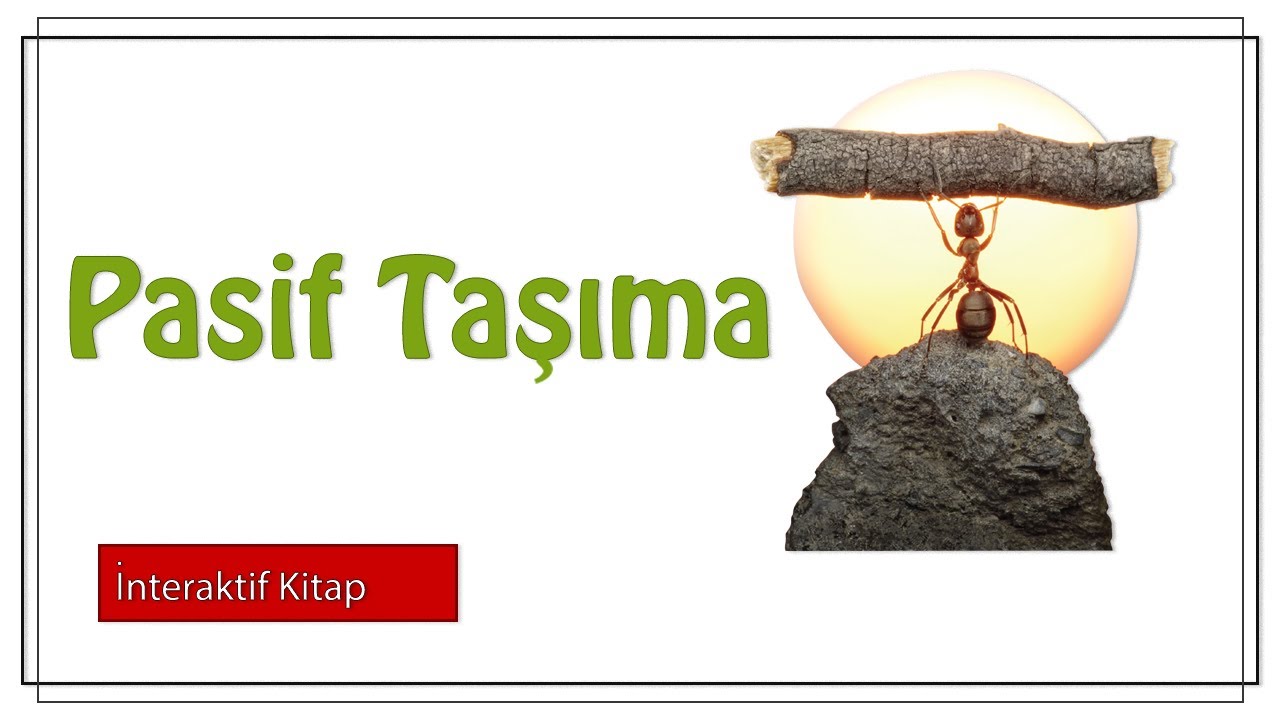 Pasif Taşıma #sayfa48