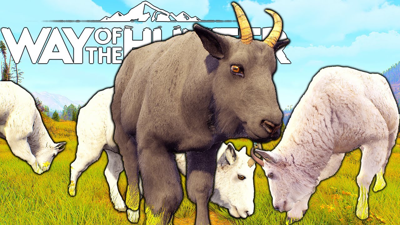 My First Male Melanistic Mountain Goat | Way of the Hunter