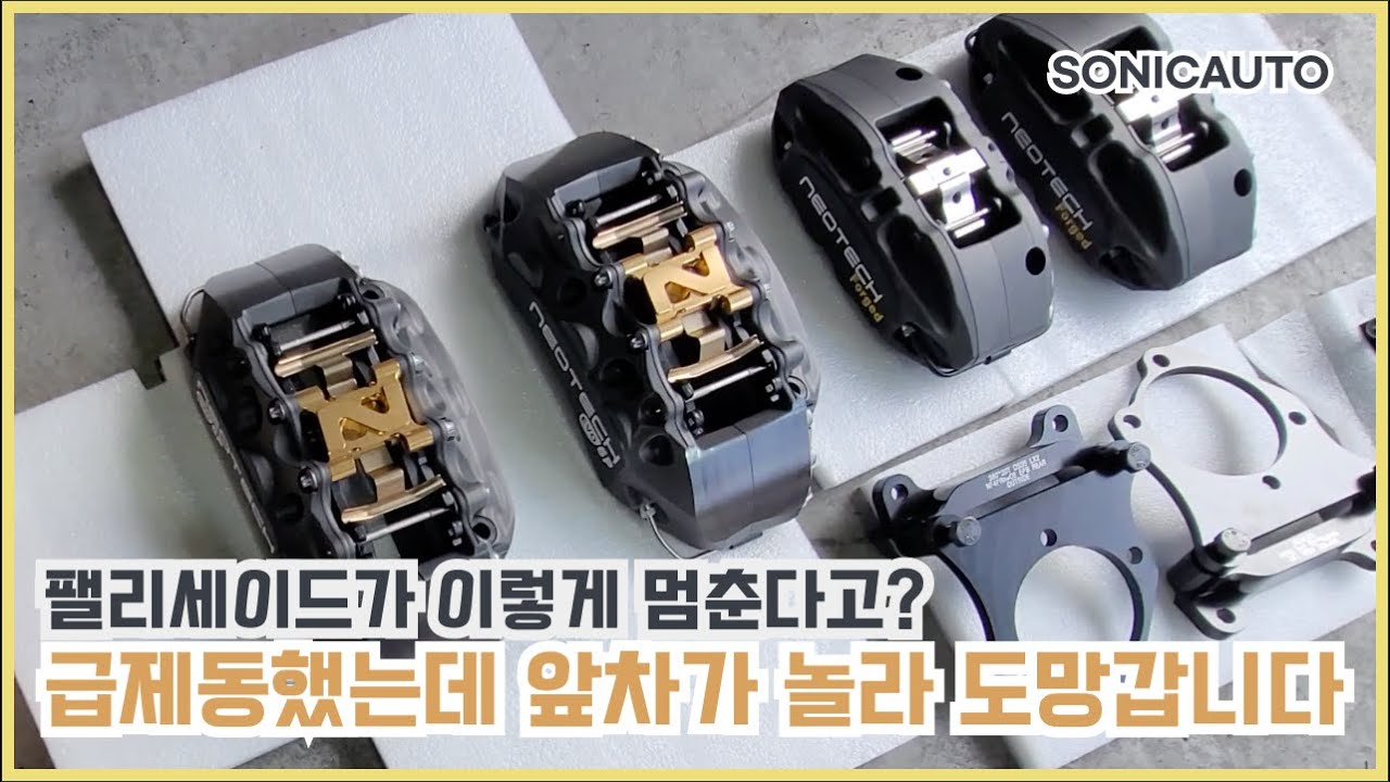 팰리세이드, 급제동했는데 앞차가 놀라 도망갑니다&rdquo; (네오테크 6P)
