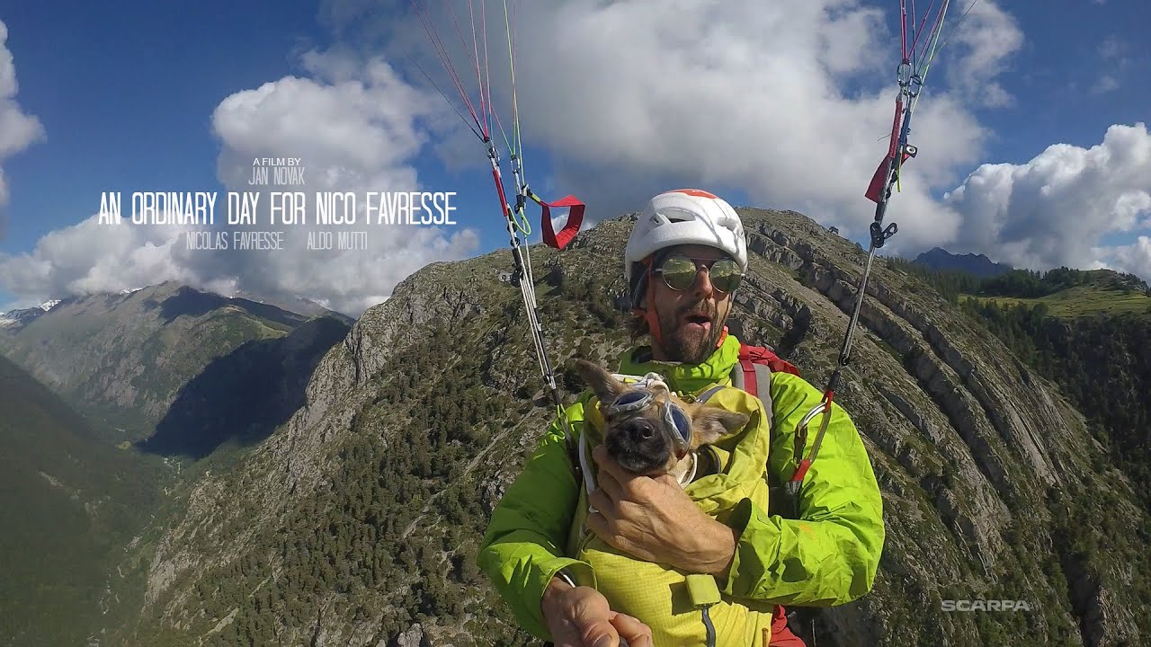 An Ordinary Day For Nico Favresse