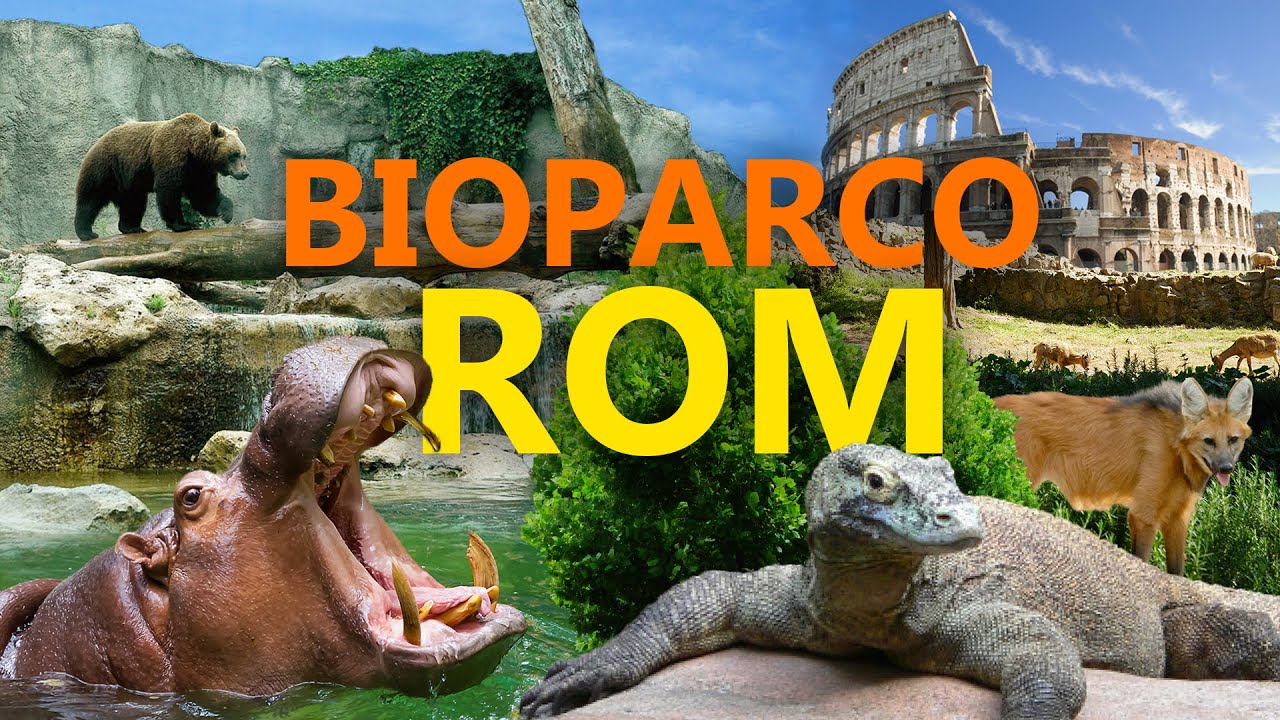 Bioparco Rom | Zoo-Eindruck