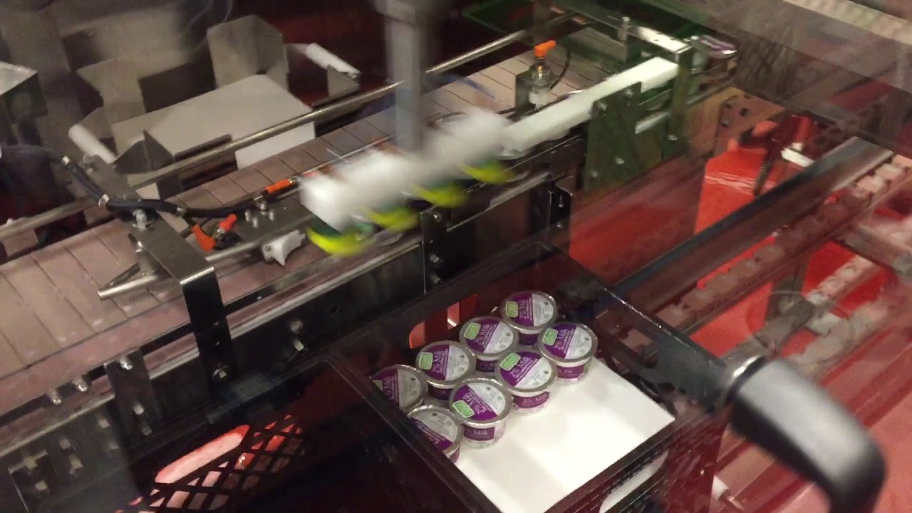 Yogurt Cup Case Packaging with Adept Hornet Robot