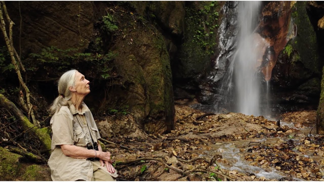 The Book of Hope by Jane Goodall - Book Trailer