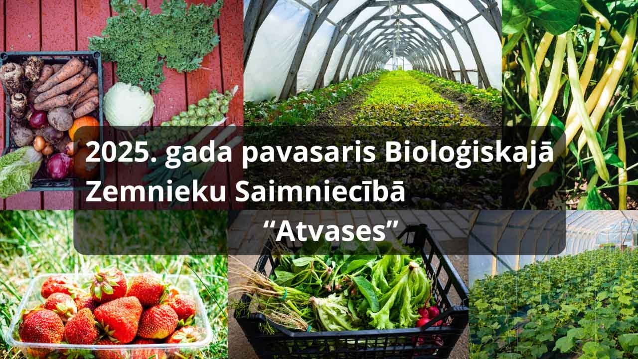 2025. gada pavasaris Bioloģiskajā Zemnieku Saimniecībā “Atvases”