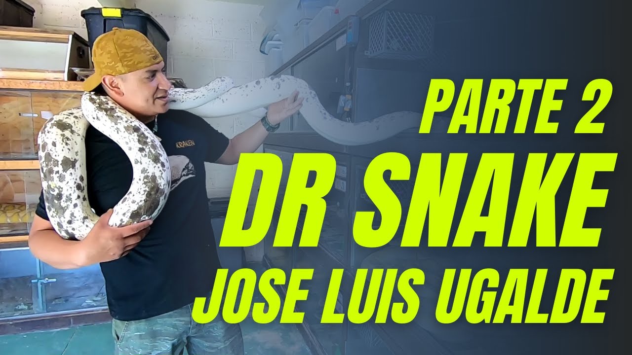 Dr Snake parte 2 - Visitando a Jose Luis Ugalde - RETICS KRAKEN @DRSNAKEMANX