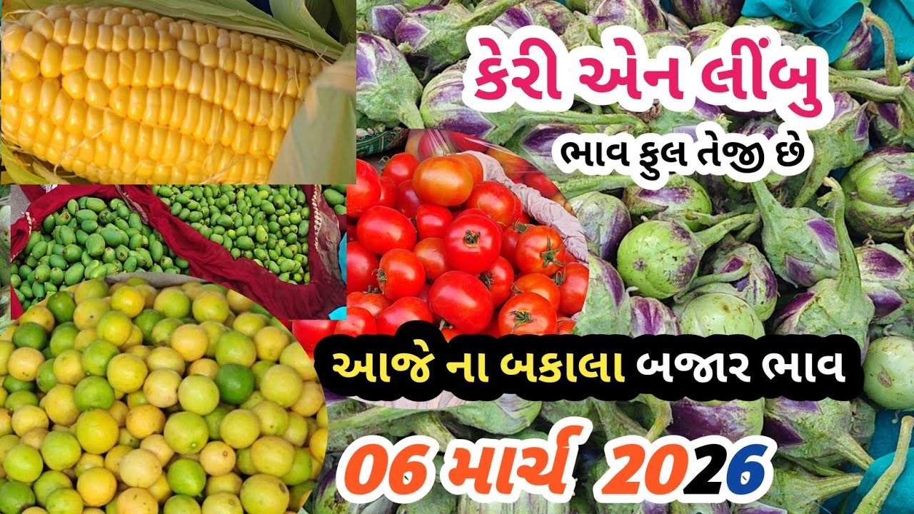 6 March 2026 .કેરી બજાર ભાવ ફુલ તેજી છે | રીંગણ એન લીંબુ 🍋 ભાવ વધારો | તળાજા માર્કેટ યાર્ડ 