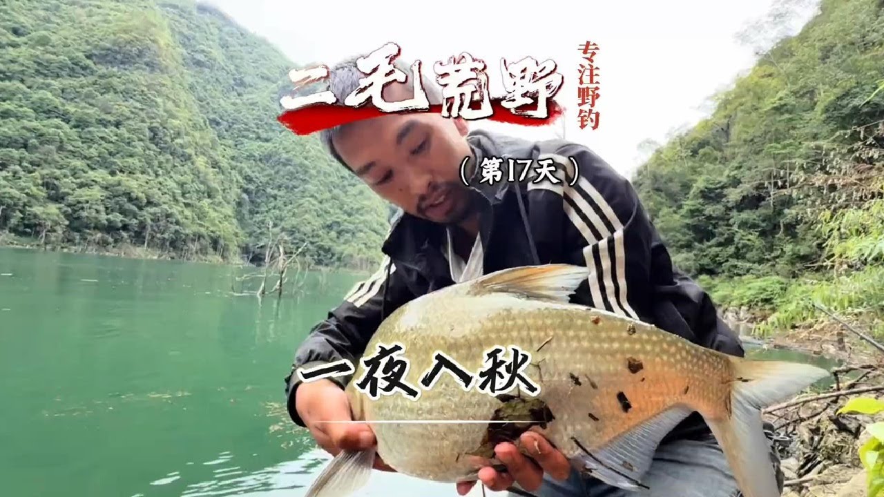 团队荒野钓鱼求生第17天 突然就冷起来了，生存压力越来越大了#垂钓 #户外钓鱼