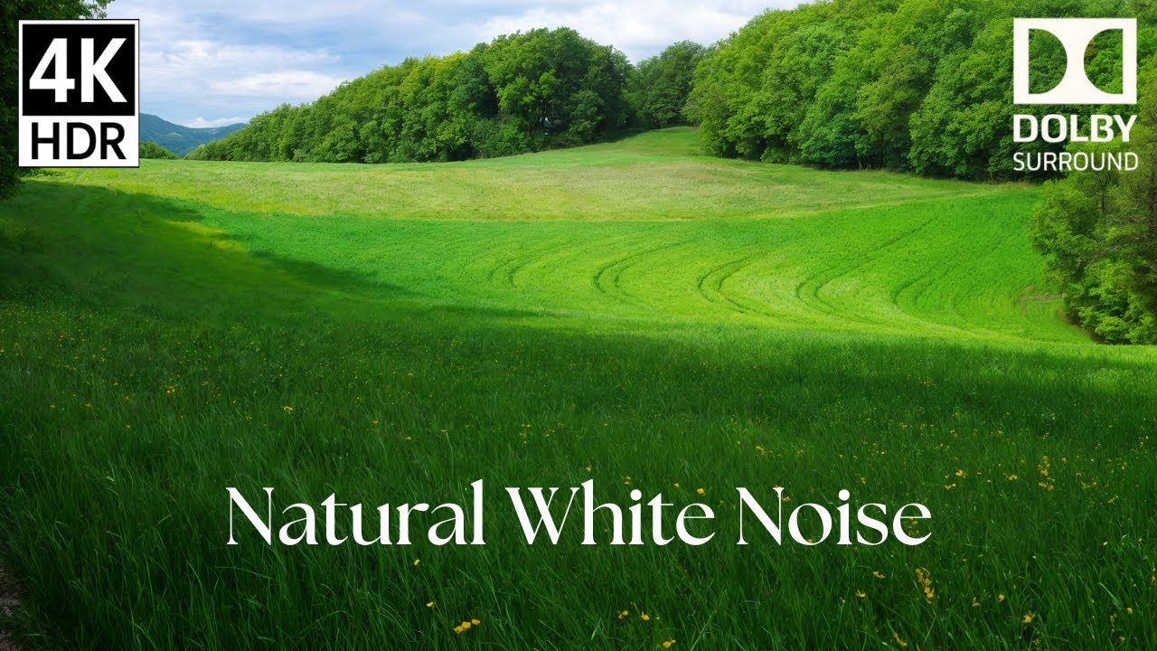 4K Wind in the Grass: Natural White Noise & ASMR Field Sounds for Deep Sleep, Study and Relaxation
