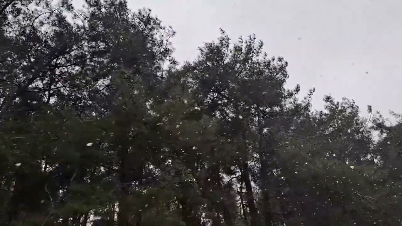 Meğer Hayat Bir Masalmış