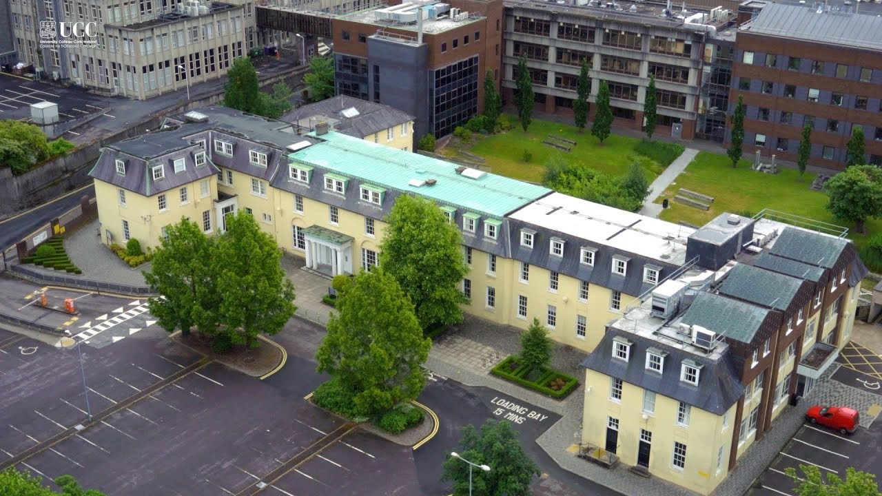 School of Law - overview