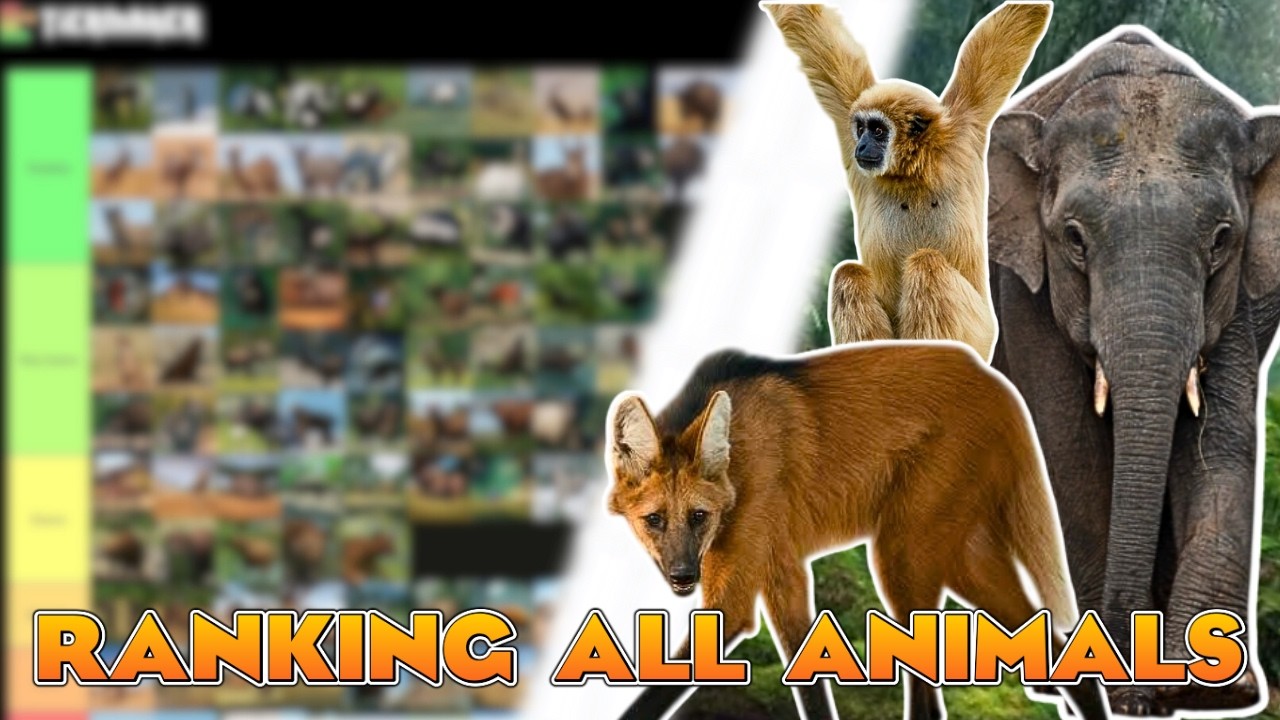 🦁 RANKING ALL 210 ANIMALS OF PLANET ZOO 🦁- TIERLIST | PLANET ZOO | Spanish