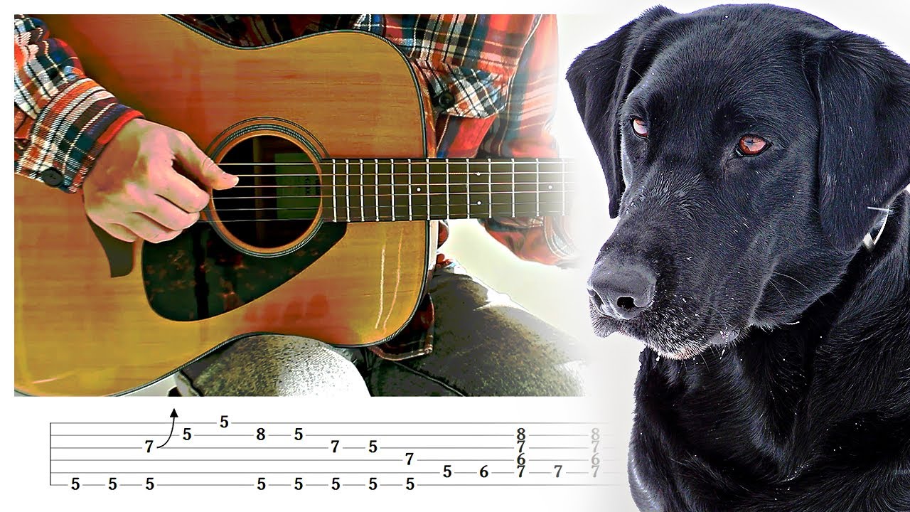 Black Dog Blues [Fingerstyle Blues] Guitar Lesson w/ Tabs!
