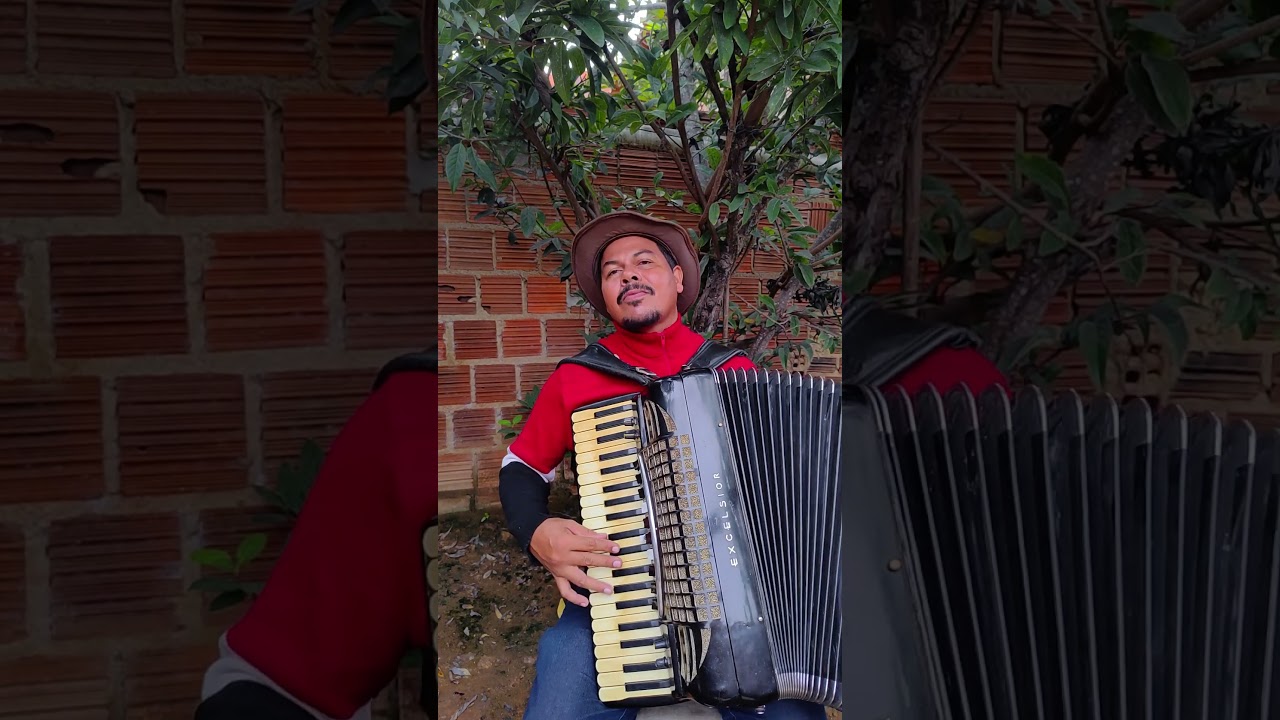 #As Melhores introdu&ccedil;&otilde;es deForr&oacute; viral#forrodasantigas #introducaodeforro#Shorts!!