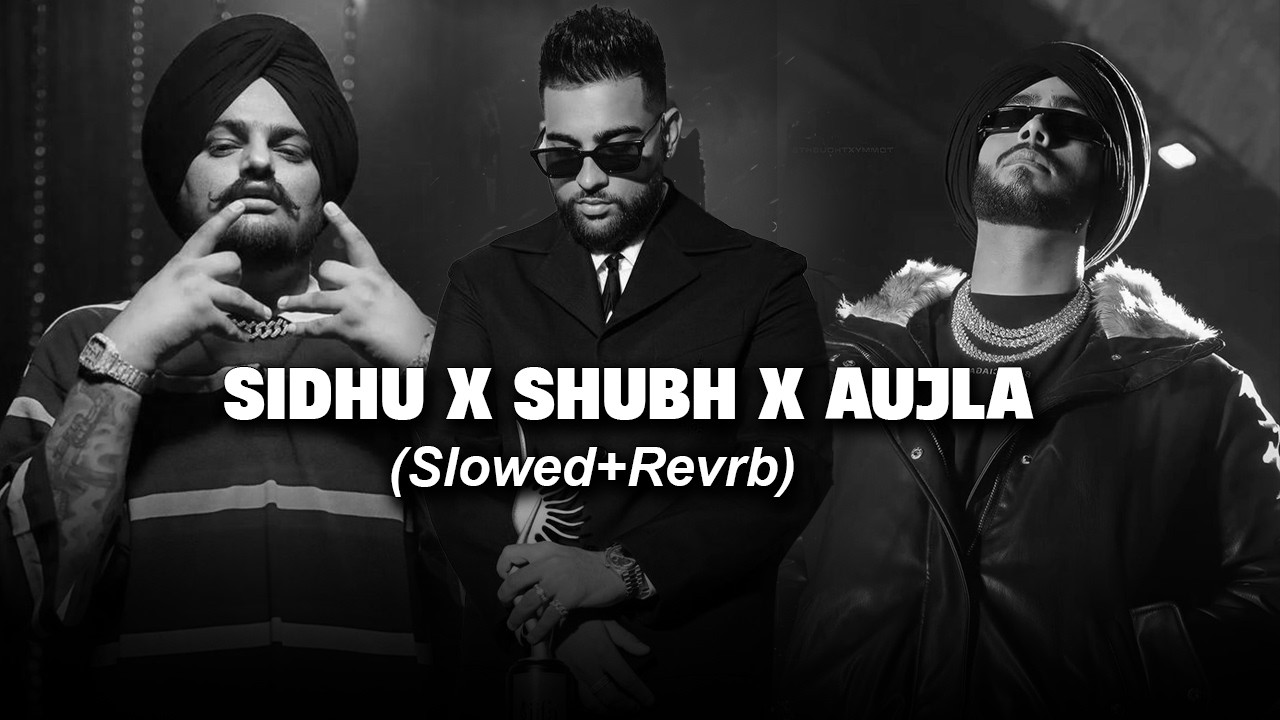 🔥Nonstop Punjabi Heat 2025 |Shubh x Sidhu Moose Wala x Bohemia x AP Dhillon |Ultimate Banger Mashup💥