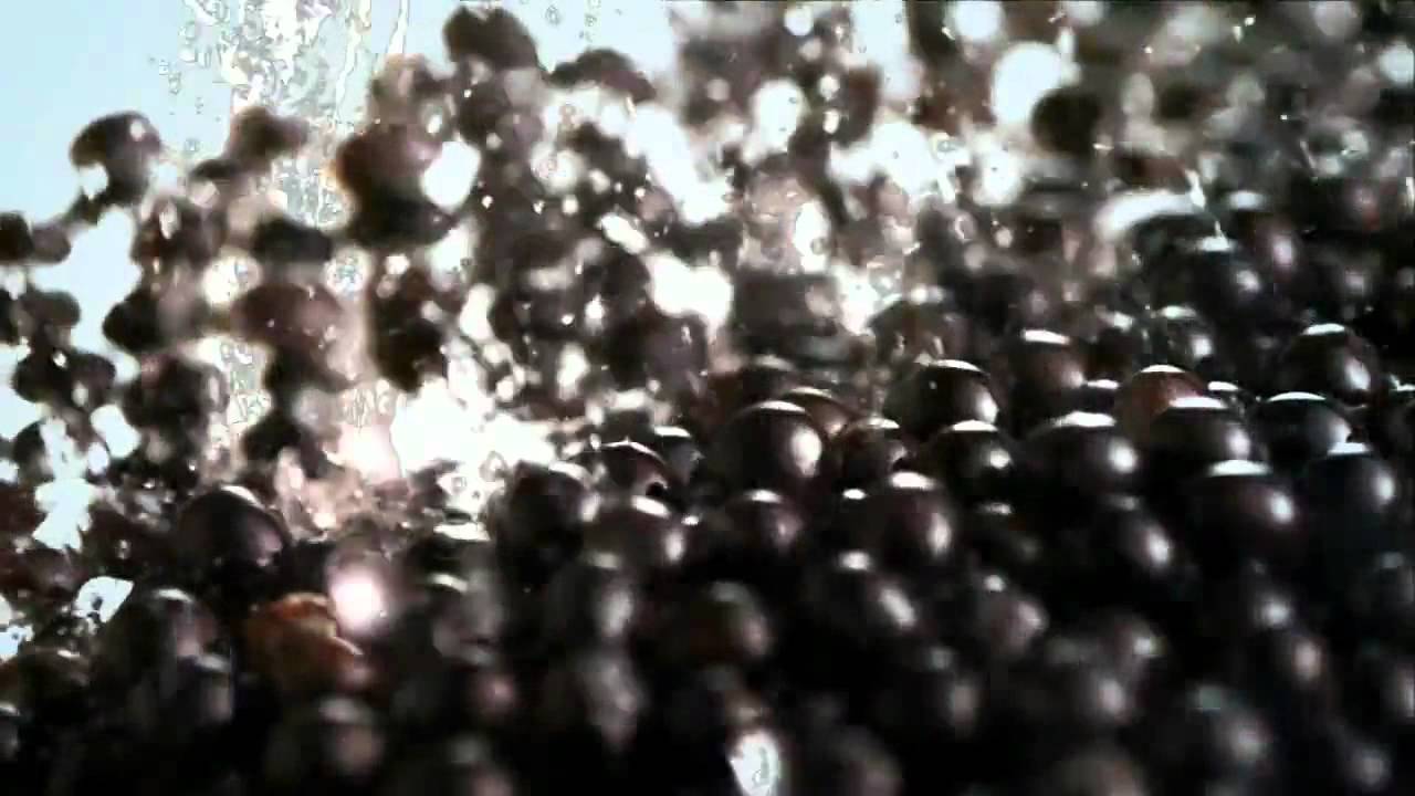 MonaVie Event Video HD