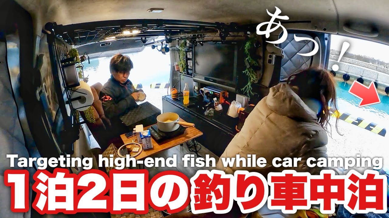 【金の魚】超高級魚を釣りに行ったら、目的のヤバいのが釣れた…！【釣り車中泊】