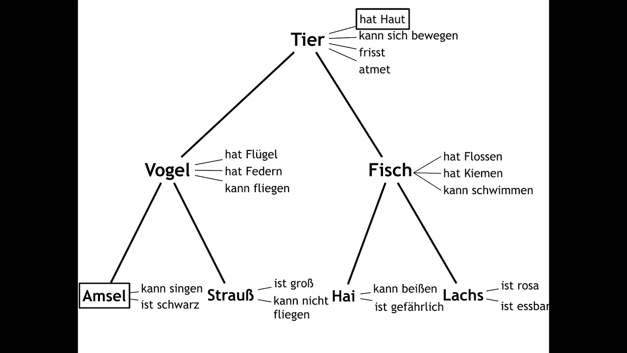Langzeitgedächtnis: Semantische Netze