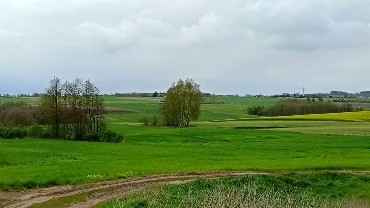 Pociąg na linii 208 widziany z linii 241. 
