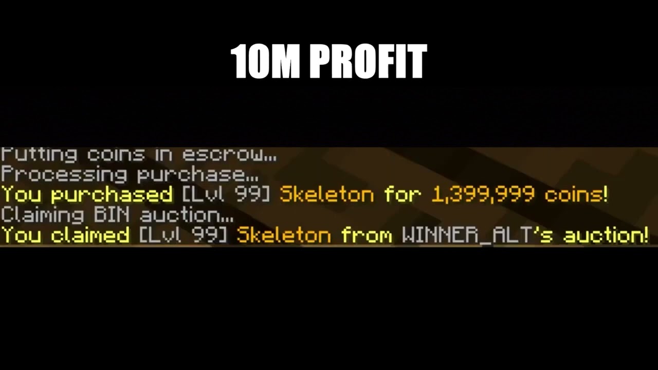 Hypixel Skyblock best AH Flipper! 3B+ PER DAY