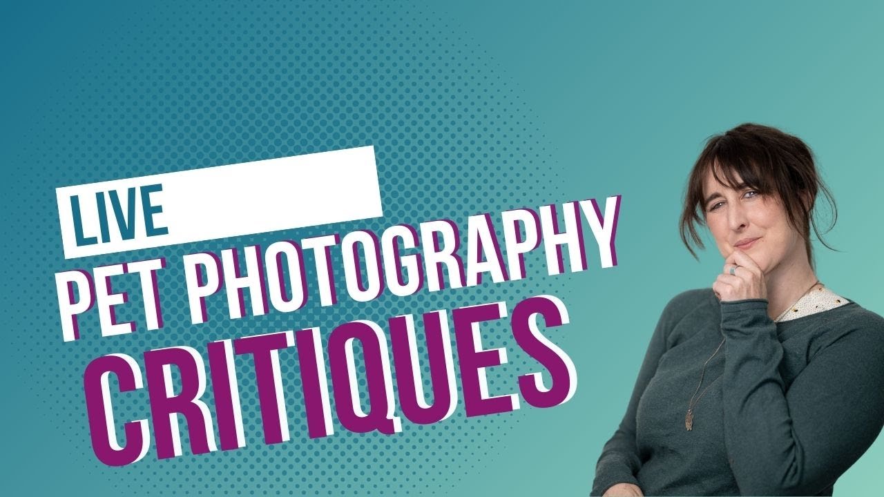 Pet Photo Critiques - Composition, Light, Editing mistakes you might be missing