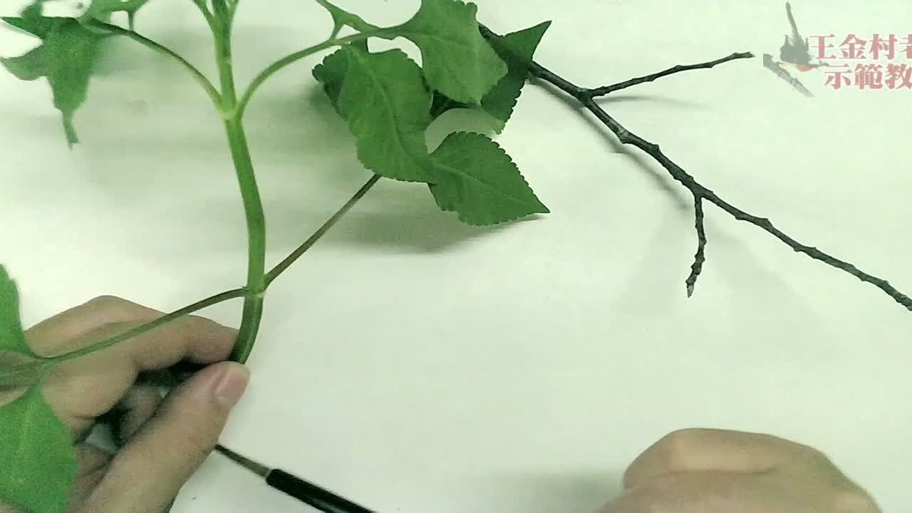 细说国画树枝画法-详细结构笔法分析，绝对干货