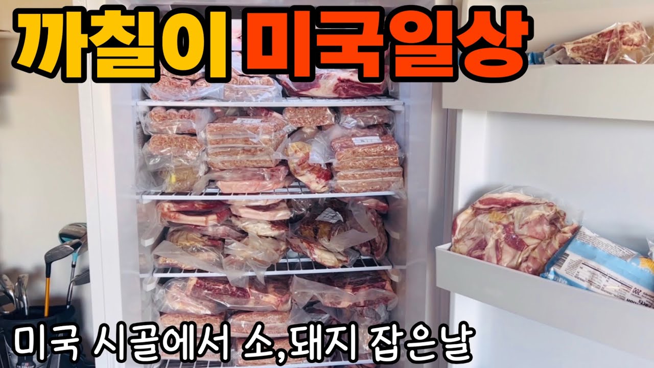 🇺🇸미국시골 아미쉬마을에서 소,돼지 잡아 고기 냉장고 채우기,단백질 도시락 만들기,한인마트 장보고 닭목 튀기기living in Pennsylvania