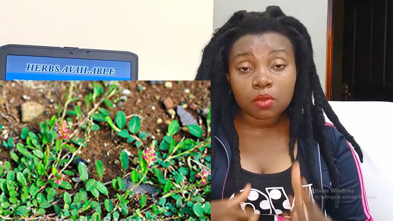 ABATAZAALA ABAGUMBA KOLA BINO