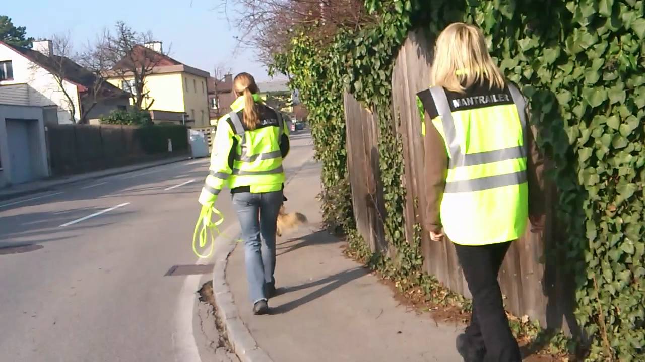 Eignungsprüfung Einsatz-Mantrailer; 18. März 2012; Bettina & Ivy; Perchtoldsdorf