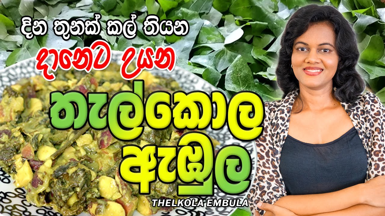 රෝග රැසකට ගුණ දෙන තැල්කොල ඇඹුල I Thelkola Embula I 011