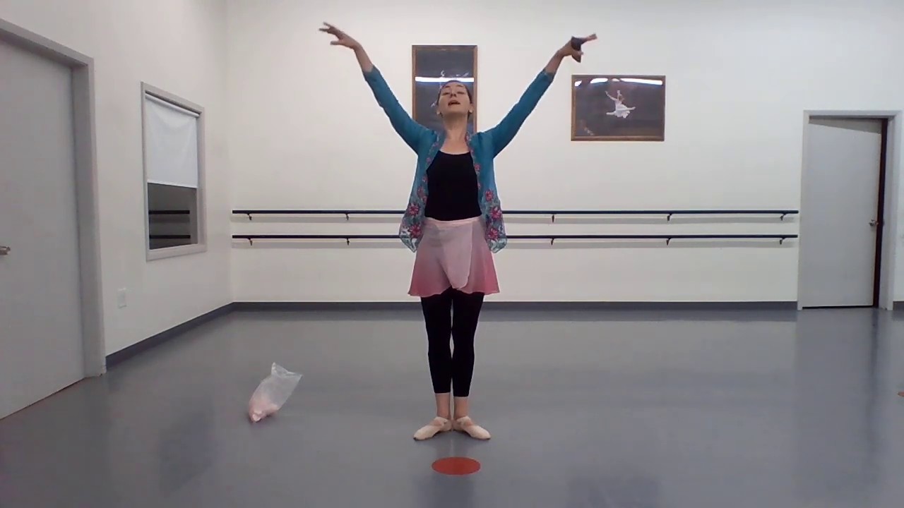 Pre-Primary and Primary Ballet Class 2