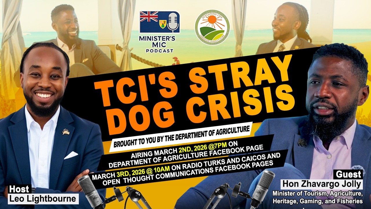 Turks and Caicos Islands's Stray Dog Crisis with Hon Zhavargo Jolly