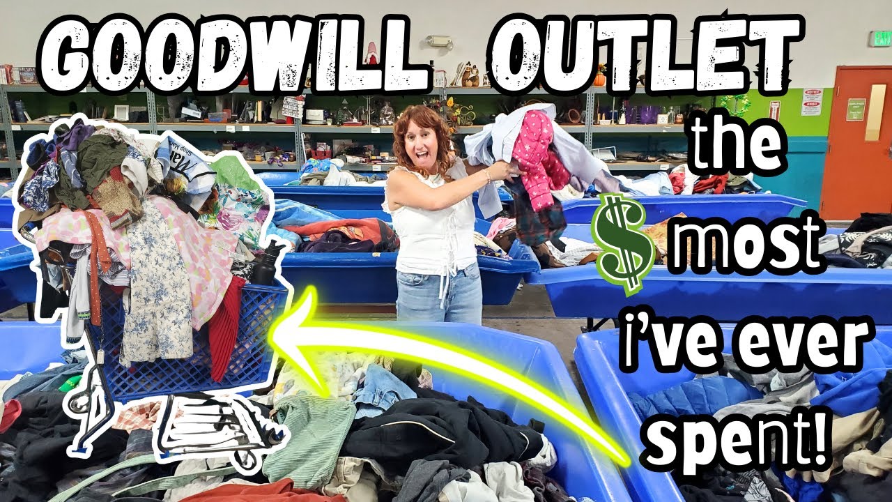 My Bins Made ONE BIG CHANGE & I Bought More Than Ever Before! ~ I Needed A 2nd Cart! ~ Thrift Haul