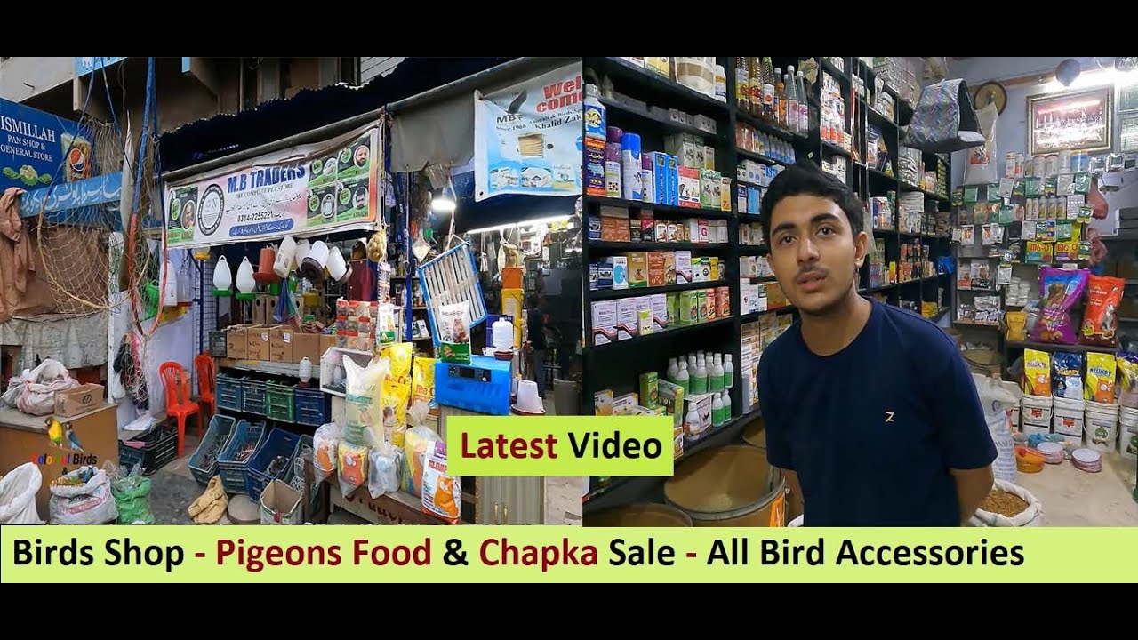 Birds Shop - Pigeons Food & Chapka - Birds Food - Cat Food - Bird Accessories in Pakistan