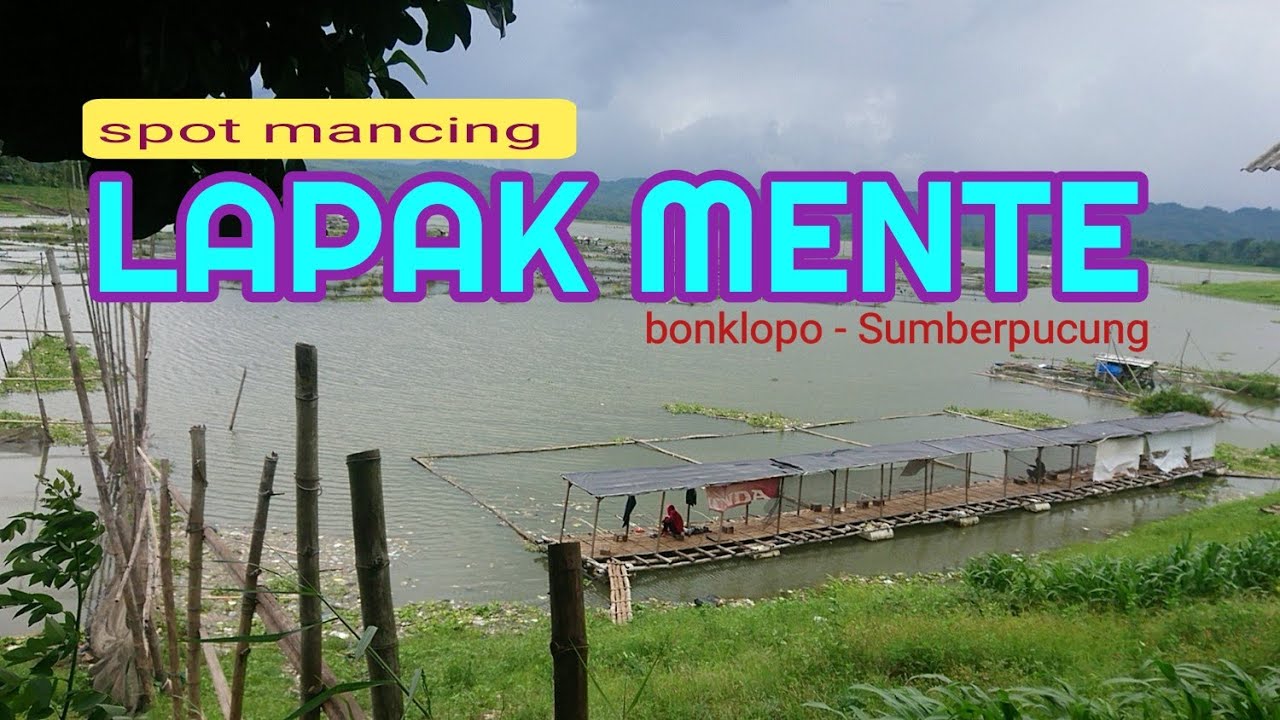 mancing di Lapak mente bonklopo Sumberpucung /spot mancing yg bikin angler bahagia /rute lapak mente