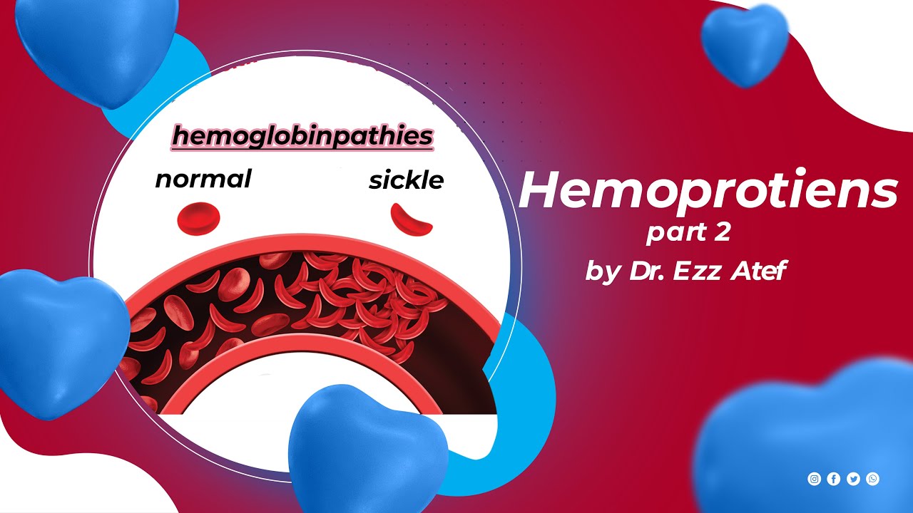 biochemistry - 2nd year - (2) Hemoproteins  part 2