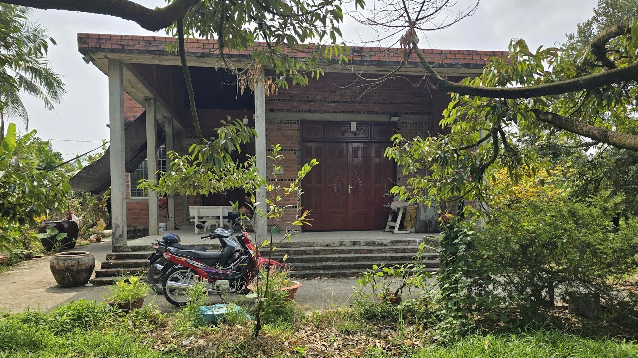 Ms 377 : Bán nhà sân vườn cây ăn trái đủ loại 718m² thổ cư 300m² ngang  20×35 giá 1,2 tỷ