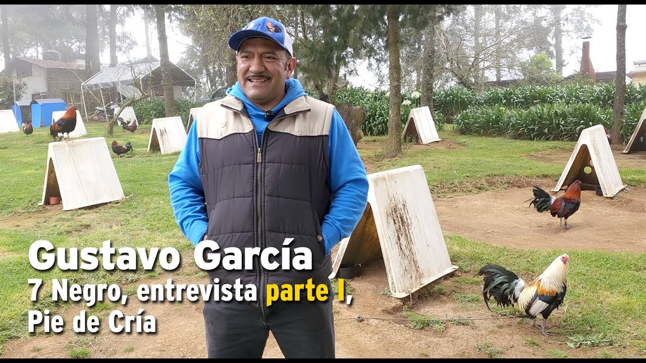Gustavo García, 7 Negro, entrevista parte I, Pie de Cría