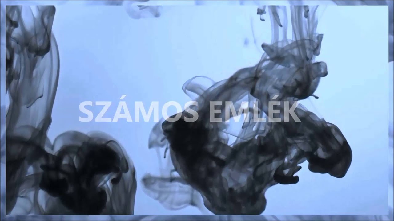 12.A Sz&aacute;mos eml&eacute;k
