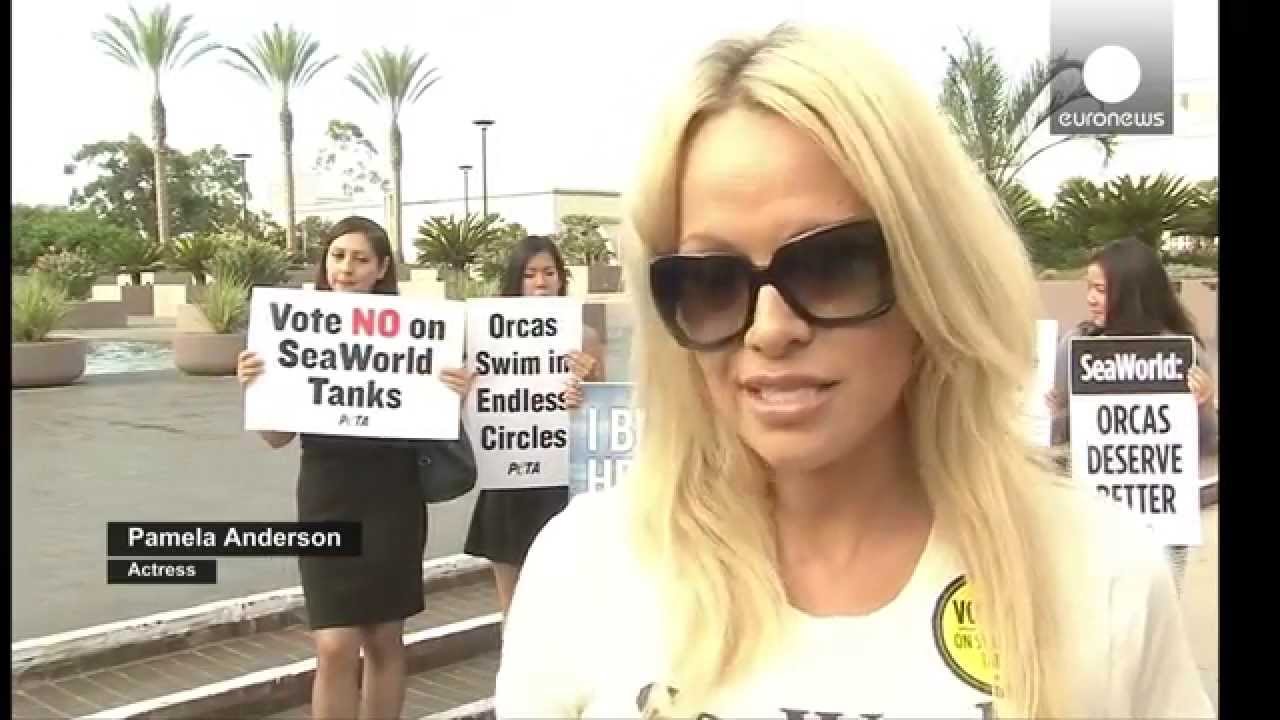 Pamela Anderson With PETA Against SeaWorld San Diego